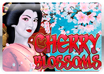 Cherry Blossoms